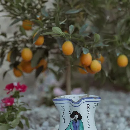 Bed & Breakfast Casa Marzapane