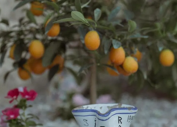 Couette-café Casa Marzapane